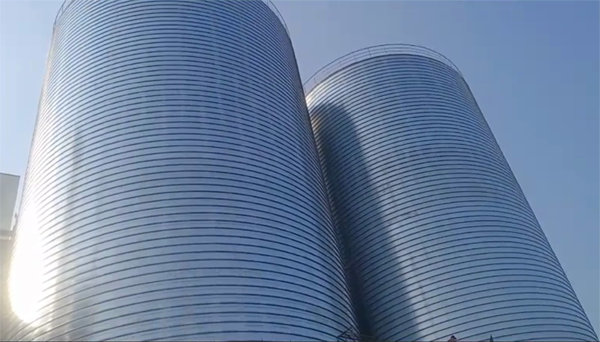 津市2座混凝土高架卷板仓